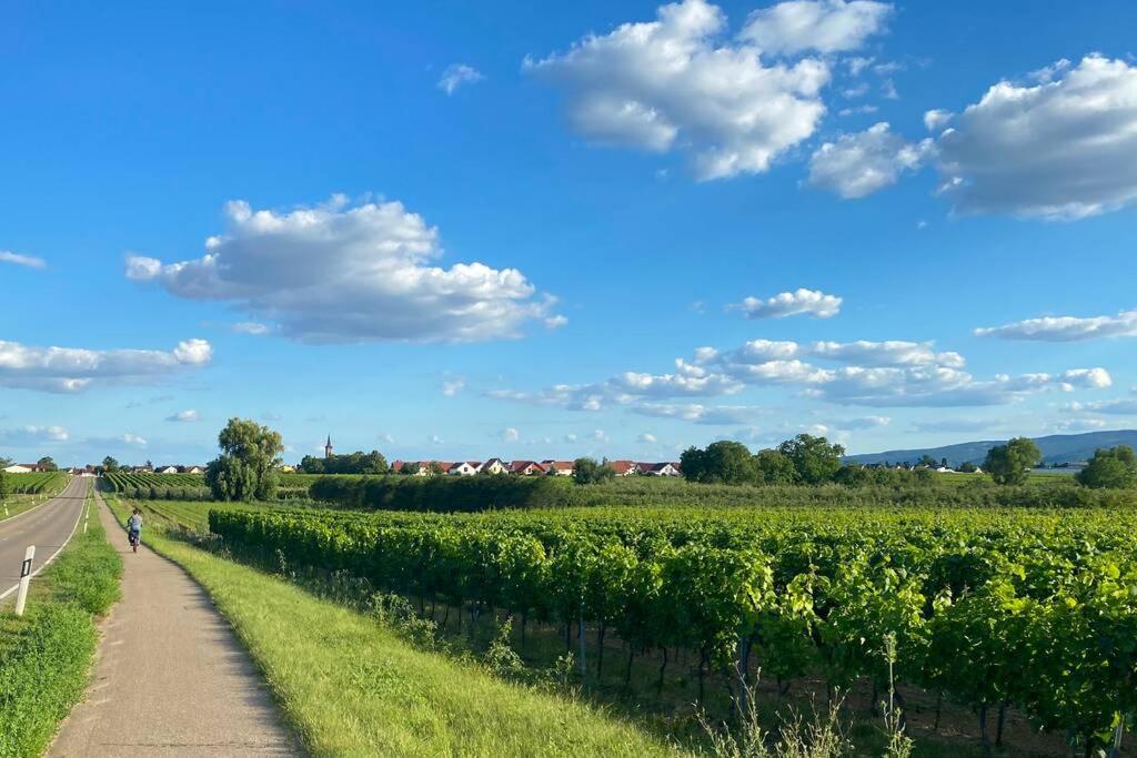 Ruhe Und Entspannung Erpolzheim Exteriör bild