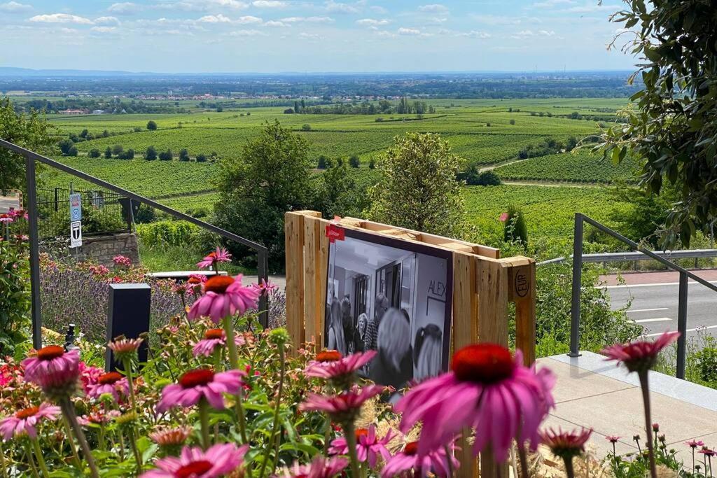 Ruhe Und Entspannung Erpolzheim Exteriör bild